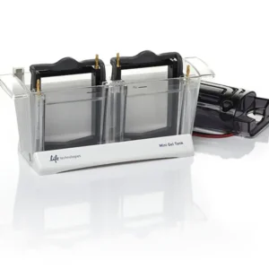 Thermo Fisher Scientific Mini Gel Tank – Electrophoresis System